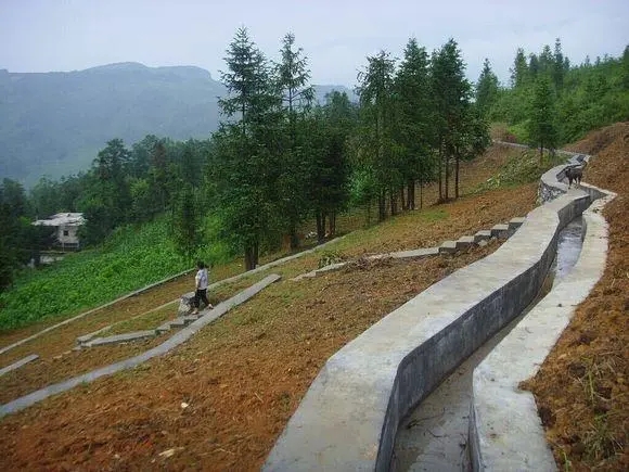 酉阳县偏柏乡苗坝等（3）个村土地整理项目