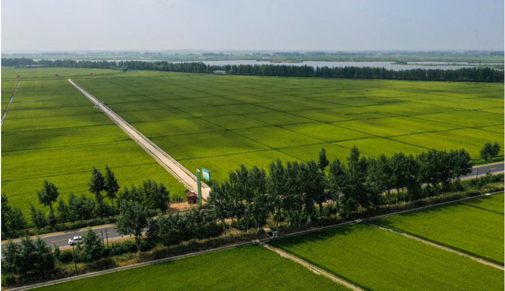 永吉县2017年度高标准农田（土地整治）建设项目施工招标二标段